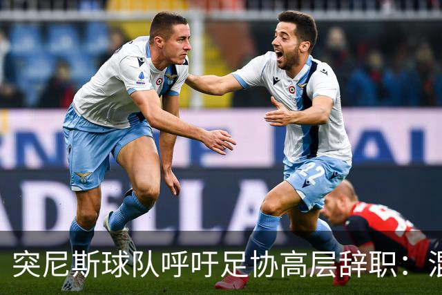突尼斯球队呼吁足协高层辞职：混乱、治理不善、腐败、缺乏透明度